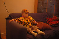 Caroline dressed as a tiger
